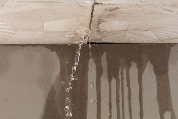 Professional Water Damage Repair technician working in Corsicana, TX